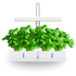 SMART GARDEN Simply Classic "Detox" set